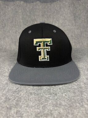 Texas Tech Red Raiders Double T Logo Snapback Hat Flexfit